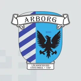 Arborg fc